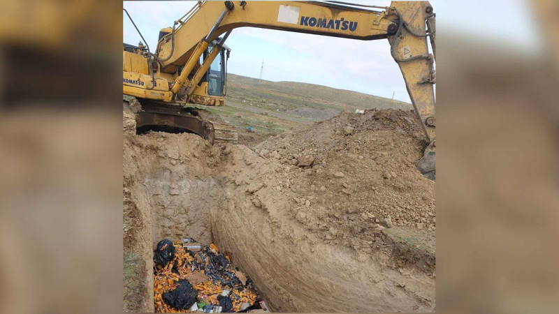 Məktəblərin yeməkxanalarında nöqsanlar aşkarlanıb