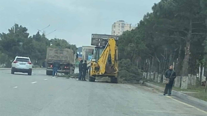 Heydər parkında abadlıq işləri görülüb
