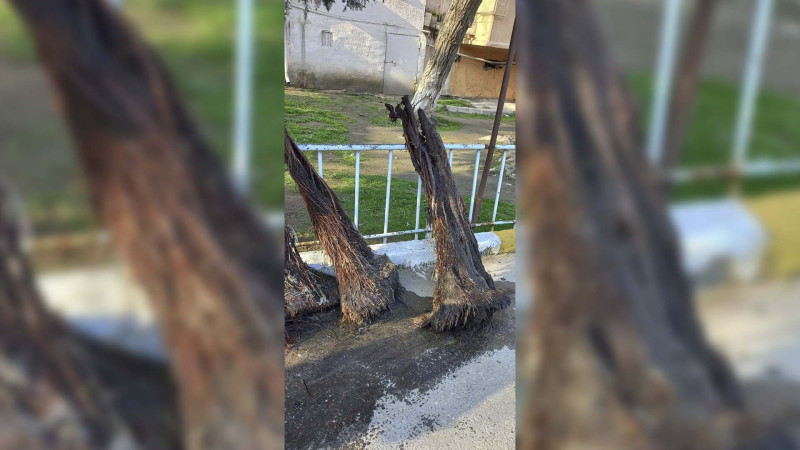 4-cü mikrorayonda kanalizasiya quyuları təmizlənib