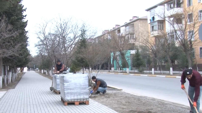 Polad Həşimov küçəsi abadlaşdırılıb
