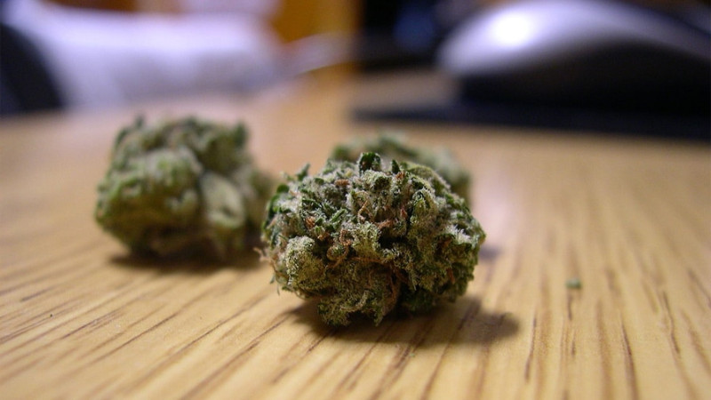 Keçmiş məhkum marixuana ilə tutulub