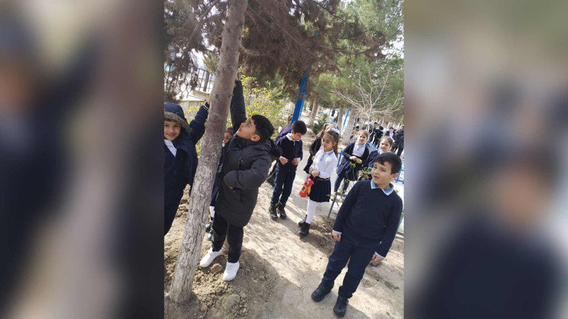 Balalarımız köçəri quşlara isti yuva qurublar