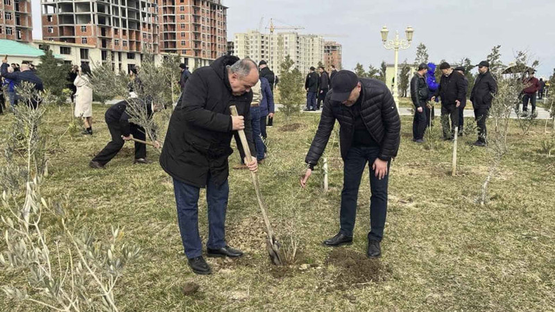 İdarə əməkdaşları, gənclər və idmançılar bulvarda ağaclar əkiblər
