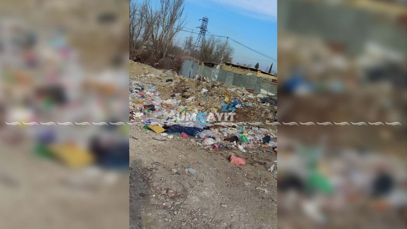 Sumqayıt: günlərlə daşınmayan zibil antisanitariya yaradır