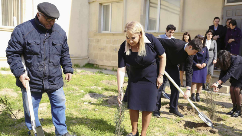 Polad Həşimov adına 28 nömrəli tam orta məktəbin həyətində 200-ə qədər ağac əkilib