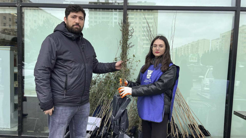 Sumqayıtda ting paylama aksiyası baş tutub