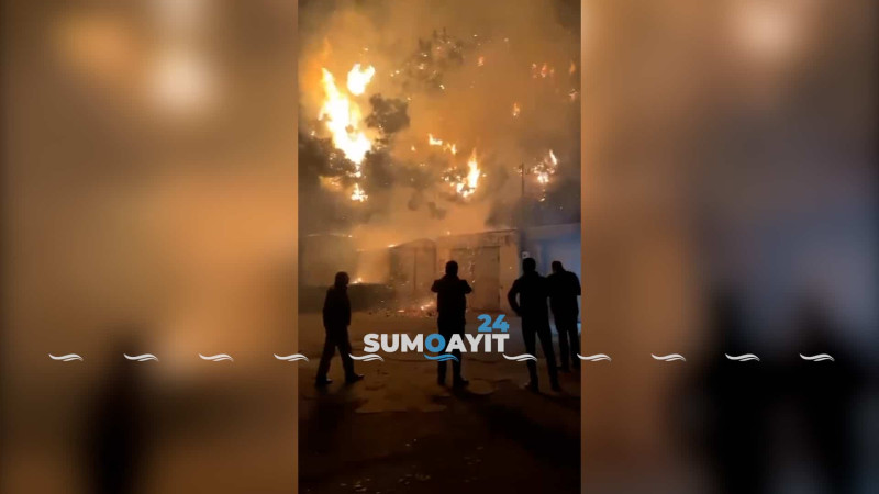 Sumqayıtda ağaclar yanıb, yoxsa yandırılıb? - Müəmma dolu məqamlar