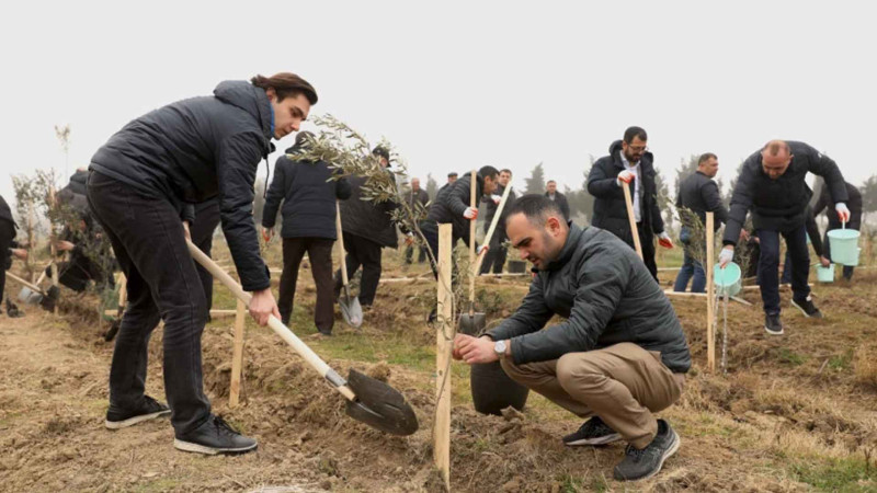 Dəmiryolçular “Heydər Əliyev ili” çərçivəsində 1000 ağac əkiblər
