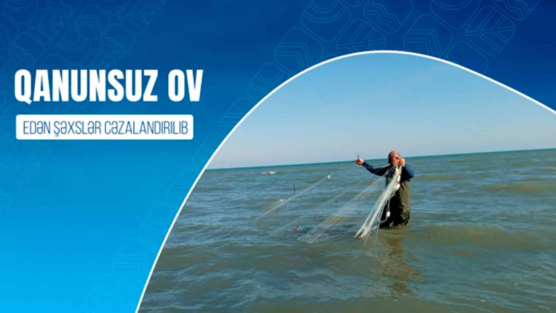 Sumqayıtda qanunsuz ov edən şəxslər cəzalandırılıblar