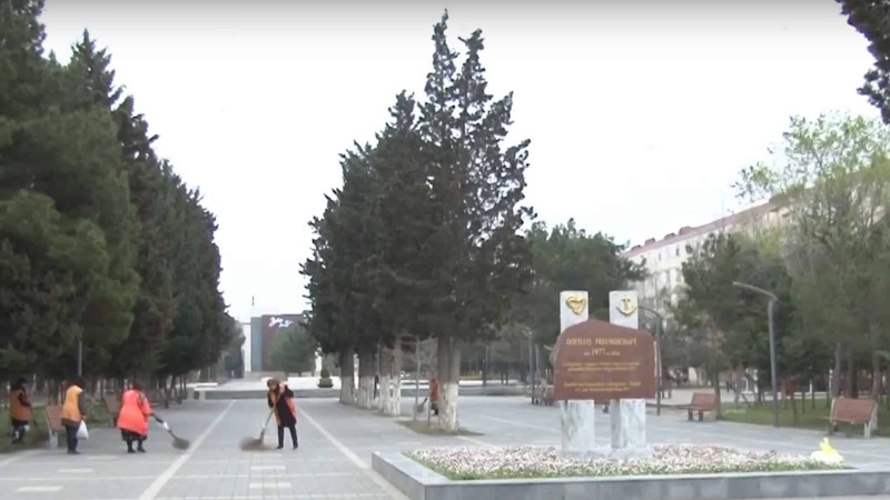 Lüdviqshafen parkında iməcilik keçirilib