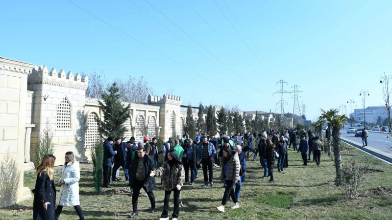 Sumqayıtda 300-dən çox müxtəlif ağaclar əkilib