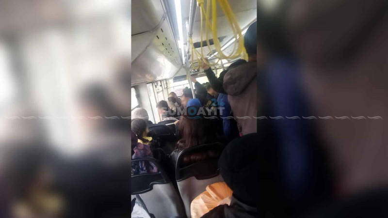 Şəhid ailələri və qaziləri dilə gətirən avtobus problemi