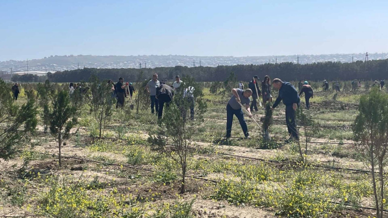Ceyranbatan su anbarının ətrafında ağaclar əkilib