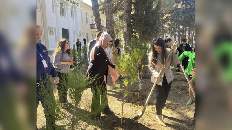 Tibb ocaqlarının həyətyanı sahələrində 150-dən çox ağac əkilib