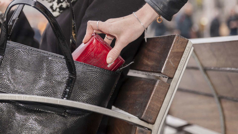 Sarayda qadının cüzdanı talanıb