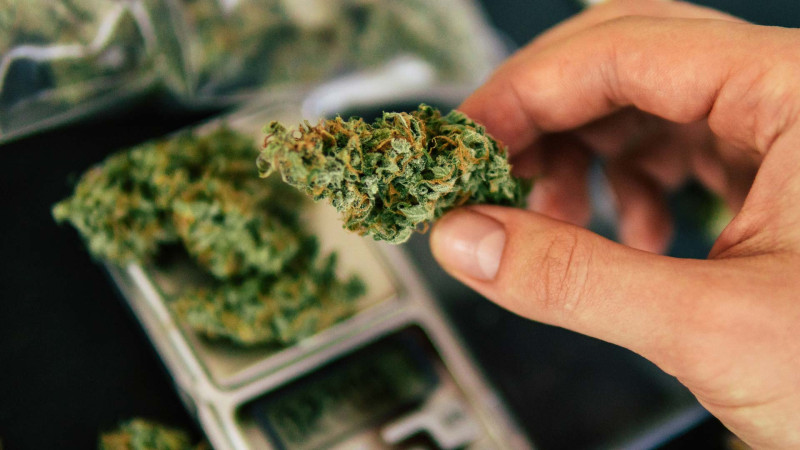 Keçmiş məhbusda marixuana tapılıb