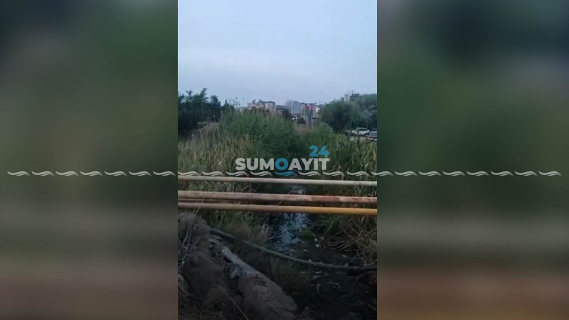Hasarın arxasında ört-basdır olunan antisanitar vəziyyət