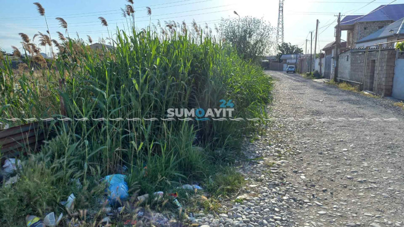 Sumqayıt təmizlik departamenti verdiyi vədi yerinə yetirməyib