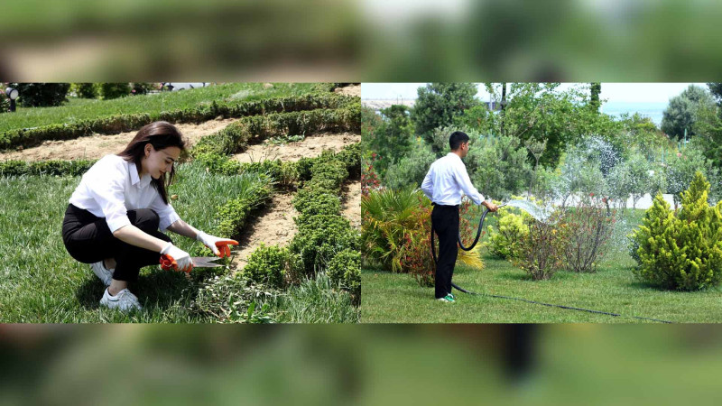 “ASAN” könüllüləri yaşıllıqlara qulluq göstəriblər