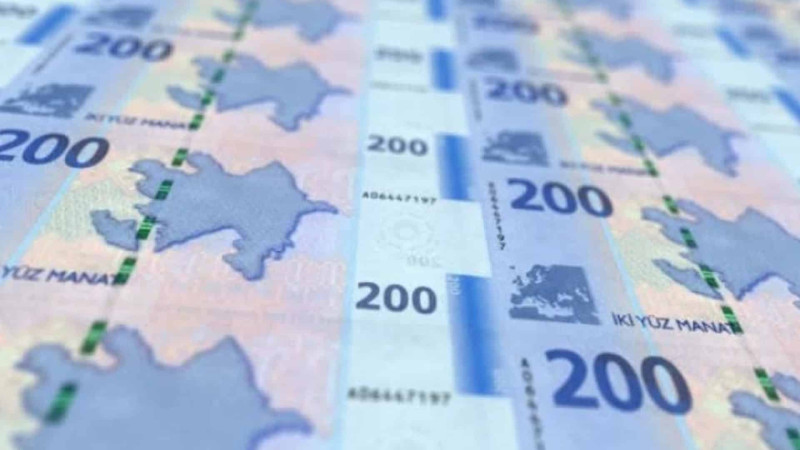 Sumqayıtda yerləşən şirkət 1.6 milyon manat mənfəət əldə edib