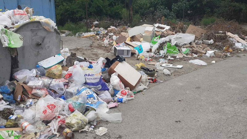 Ceyranbatan qəsəbəsi: məhəllədə yığılan zibil günlərlə daşınmır