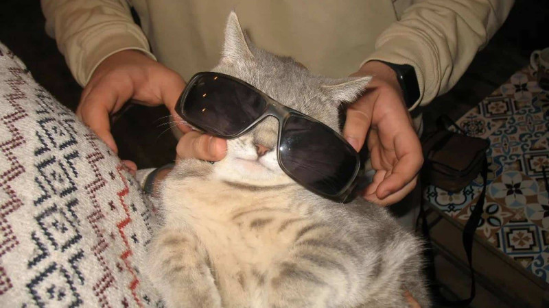 Gənclərin əyləncə yeri - “Yuxu”