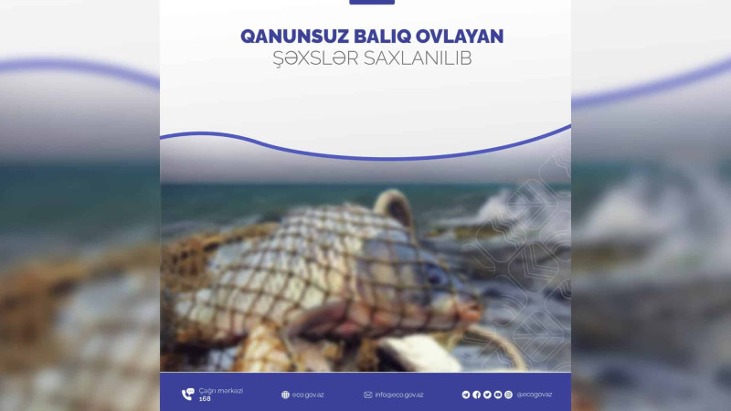 Qanunsuz balıq ovlayan şəxs cəzalandırılıb