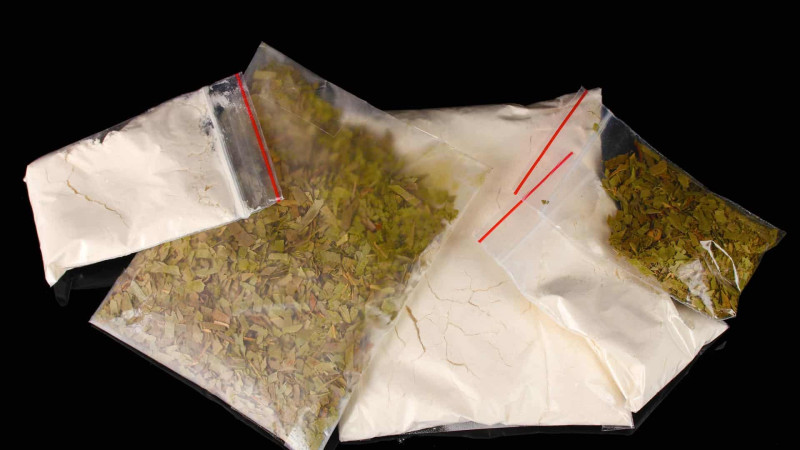 Polis əməliyyat keçirib: evdən 2 kiloqram marixuana tapılıb