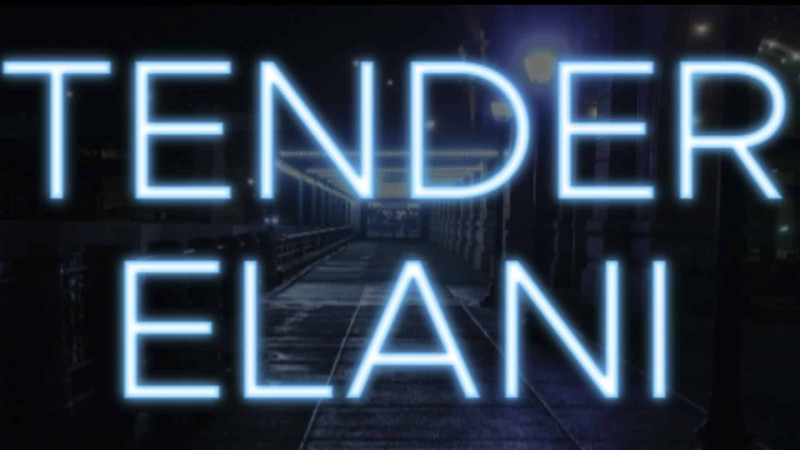 Sumqayıt İcra Hakimiyyəti 55 ədəd konteyner alır - Tender elanı