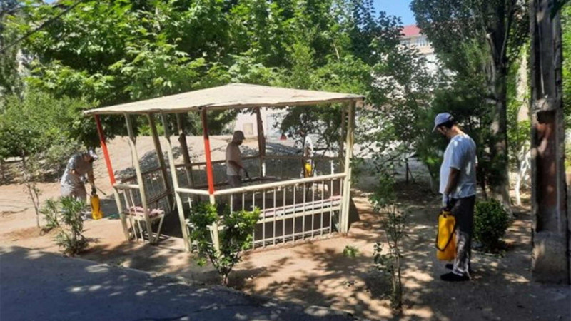 Sumqayıtda qrafikə uyğun dezinfeksiya və deratizasiya işləri aparılır