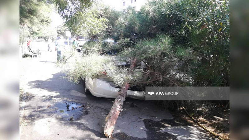 Sumqayıtda ürəyi tutan sürücü qəzaya düşüb