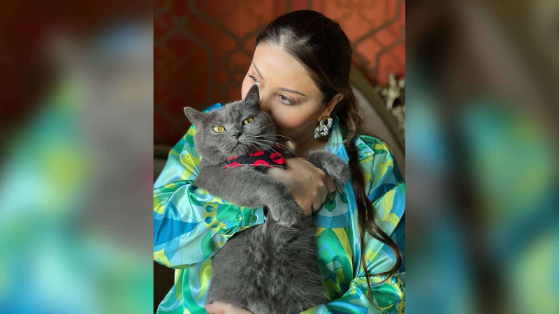 Damla ölən pişiyi üçün hönkür-hönkür ağlayıb