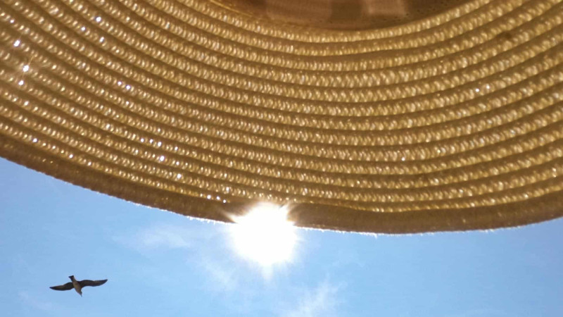 Sabah çimərliklərdə hava necə olacaq?