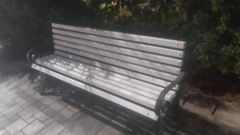 Parkda “müalicəvi” oturacaqlar qoyulub