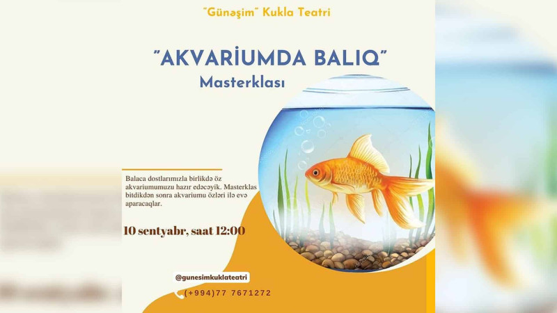 Sumqayıtda “Akvariumda balıq” adlı master-klas keçiriləcək