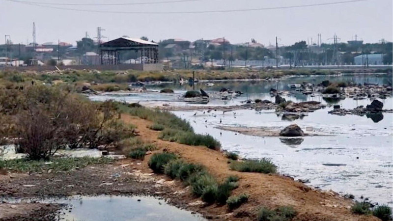 100-lərlə ailəni təngə gətirən “kanalizasiya gölü”