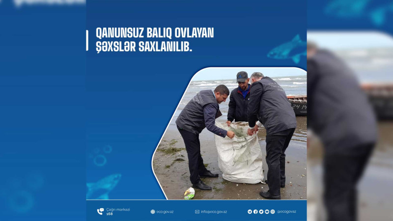 Qanunsuz balıq ovlayan Sumqayıt sakini tutulub