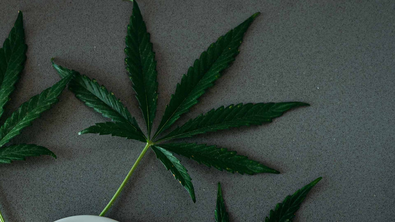 Sumqayıtda vətəndaşdan marixuana götürülüb