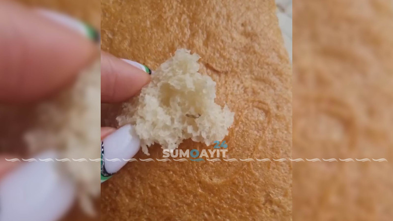 Sumqayıtda istehsal olunan çörəkdə həşəratlar aşkarlanıb