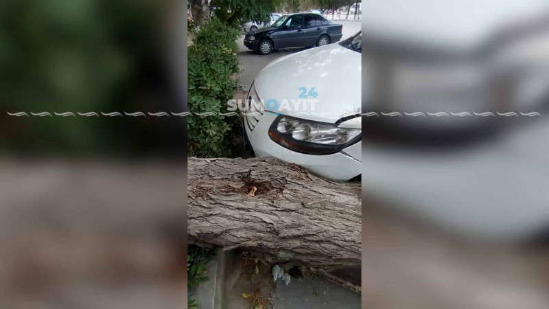 Güclü külək Sumqayıtda fəsadlar törədib