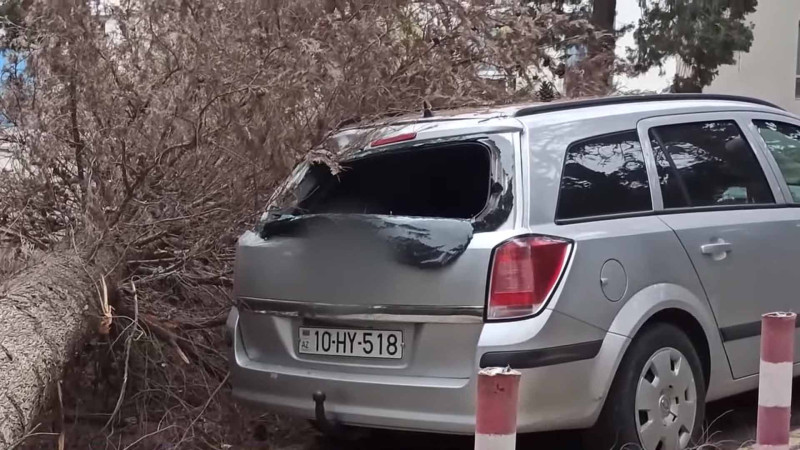 İrigövdəli ağac “Opel”i əzib