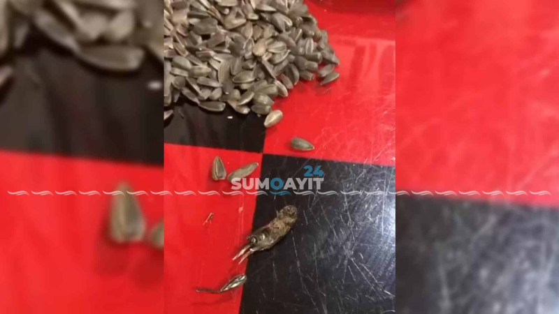 Sumqayıt sakini 20 qəpiyə “çəyirtkəli tum” alıb