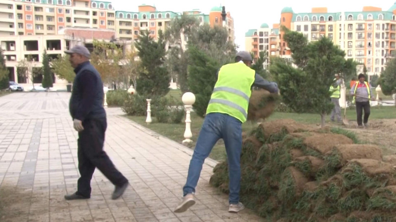 Sumqayıt bulvarı abadlaşdırılır