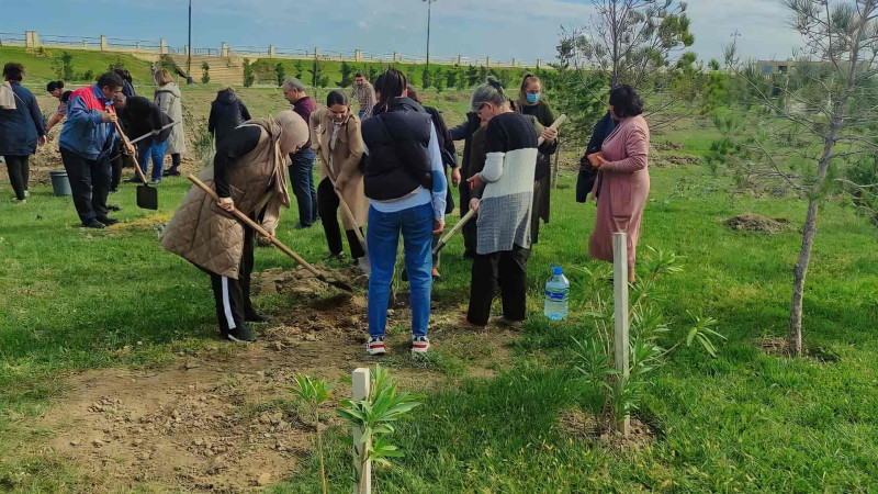 Tibb işçiləri bulvarda 2 min ağac əkiblər
