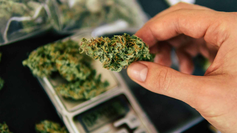 Keçmiş məhbusda marixuana tapılıb