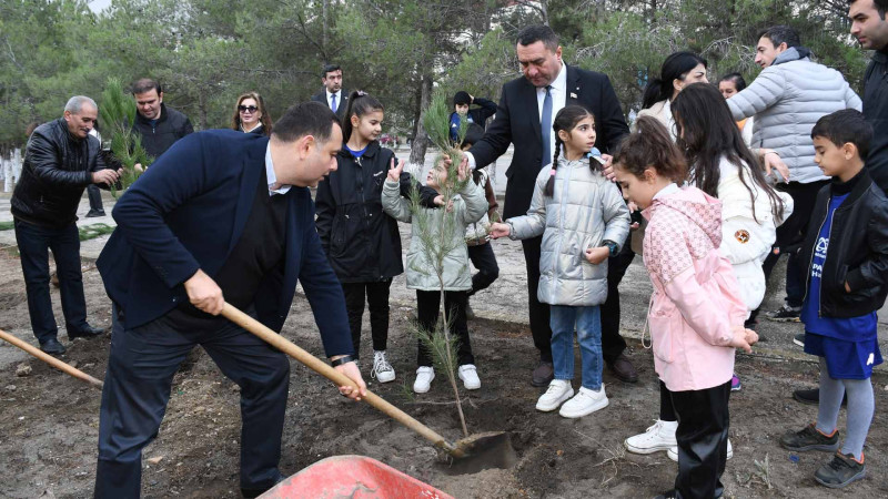 Nəsimi adına Mədəniyyət və İstirahət parkında 300-dən çox ağac əkilib