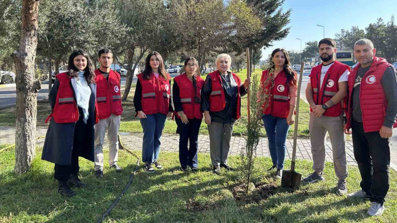 40-cı məhəllədəki parkda ağaclar əkilib