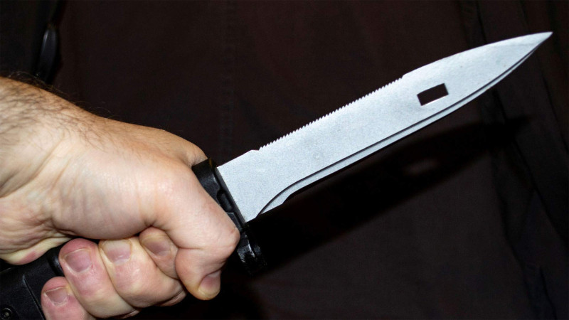 Məhkəmə qardaşları bıçaqlayan şəxs barədə qərar çıxarıb