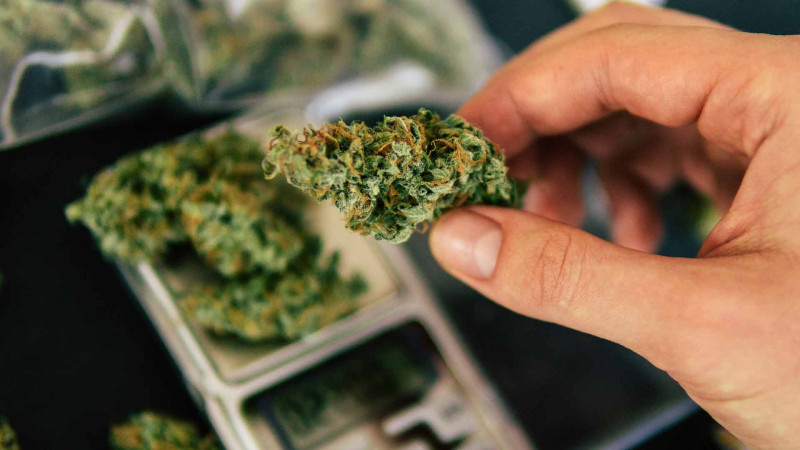 Keçmiş məhbuslarda marixuana tapılıb