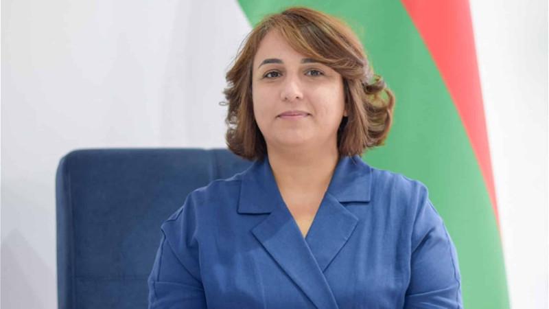İnnovasiya Mərkəzi şəhərimizdə açılacaq